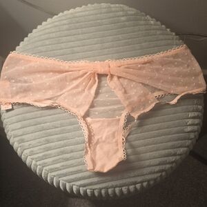 Victoria's Secret Soft Pink Sheer Panties